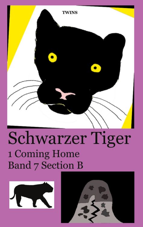 Produktbild: Schwarzer Tiger 1 Coming Home