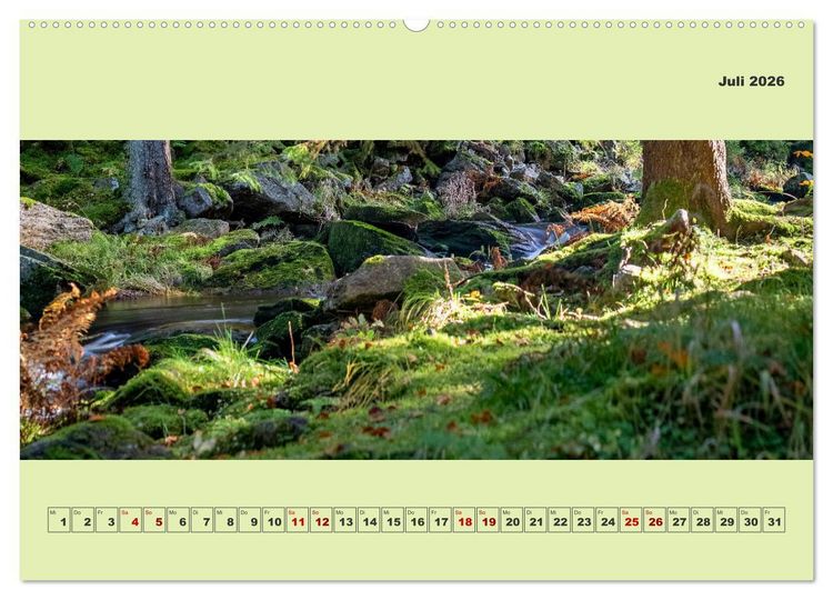 Produktbild: Die schwarze Pockau im Herbstgewand (Wandkalender 2026 DIN A2 quer), CALVENDO Monatskalender