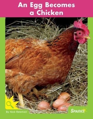 Produktbild: An Egg Becomes a Chicken