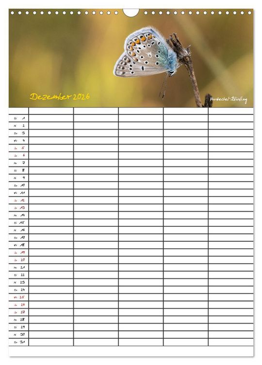 Produktbild: Schmetterlinge in Bayern (Wandkalender 2026 DIN A3 hoch), CALVENDO Monatskalender