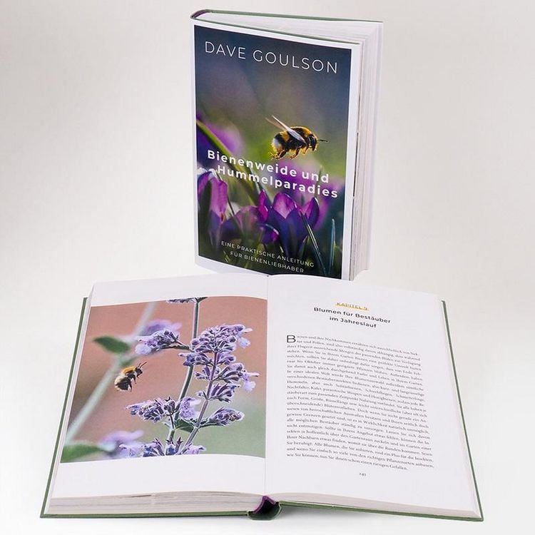 Produktbild: Bienenweide und Hummelparadies