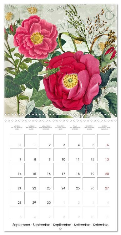Produktbild: Dans le jardin de Monsieur Pierre-Joseph Redout&eacute; (Calendrier mural carr&eacute; 2026 30x30 cm) Calendrier double avec une page pour vos prises de notes