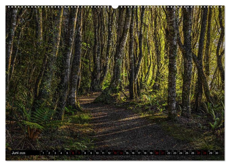 Produktbild: Trauminseln Neuseeland (Wandkalender 2026 DIN A2 quer), CALVENDO Monatskalender