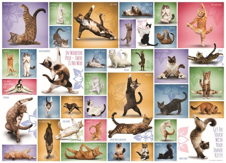 Produktbild: Yoga Cats (Puzzle)