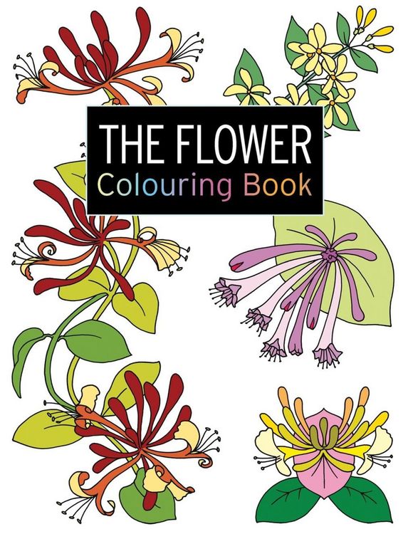 Produktbild: The Flower Colouring Book
