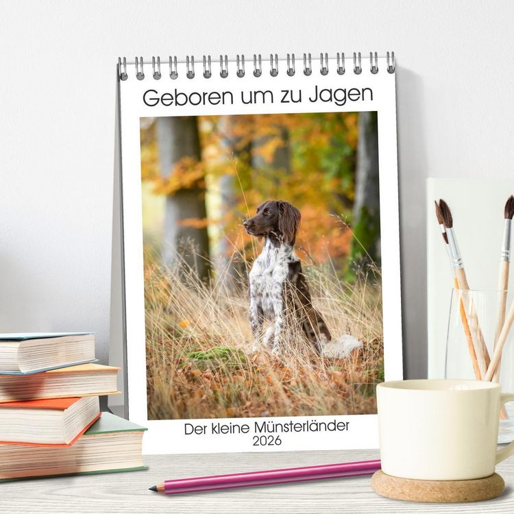Produktbild: Geboren um zu Jagen. Der kleine M&uuml;nsterl&auml;nder (Tischkalender 2026 DIN A5 hoch), CALVENDO Monatskalender