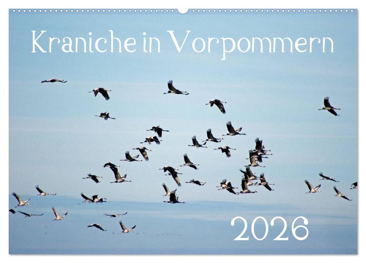 Produktbild: Kraniche in Vorpommern (Wandkalender 2026 DIN A2 quer), CALVENDO Monatskalender