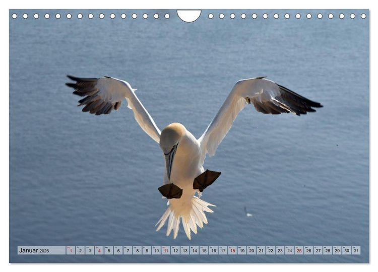 Produktbild: Sch&ouml;ne Insel Helgoland (Wandkalender 2026 DIN A4 quer), CALVENDO Monatskalender