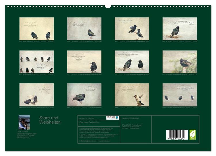 Produktbild: Stare und Weisheiten (hochwertiger Premium Wandkalender 2026 DIN A2 quer), Kunstdruck in Hochglanz