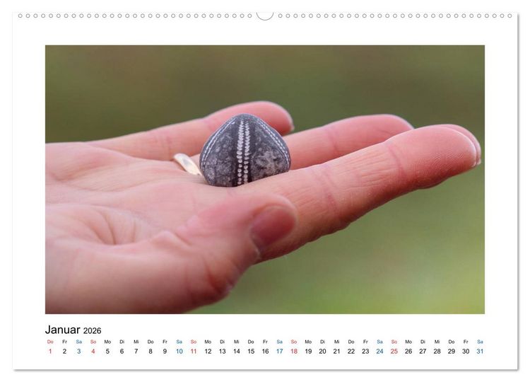 Produktbild: Mehr vom Meer: Sehnsuchtskalender f&uuml;r Ostseeliebhaber (Wandkalender 2026 DIN A2 quer), CALVENDO Monatskalender