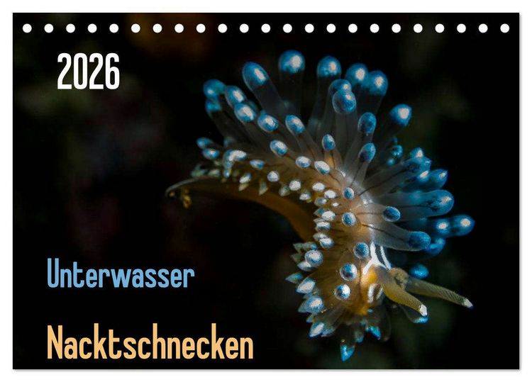 Produktbild: Unterwasser - Nacktschnecken 2026 (Tischkalender 2026 DIN A5 quer), CALVENDO Monatskalender