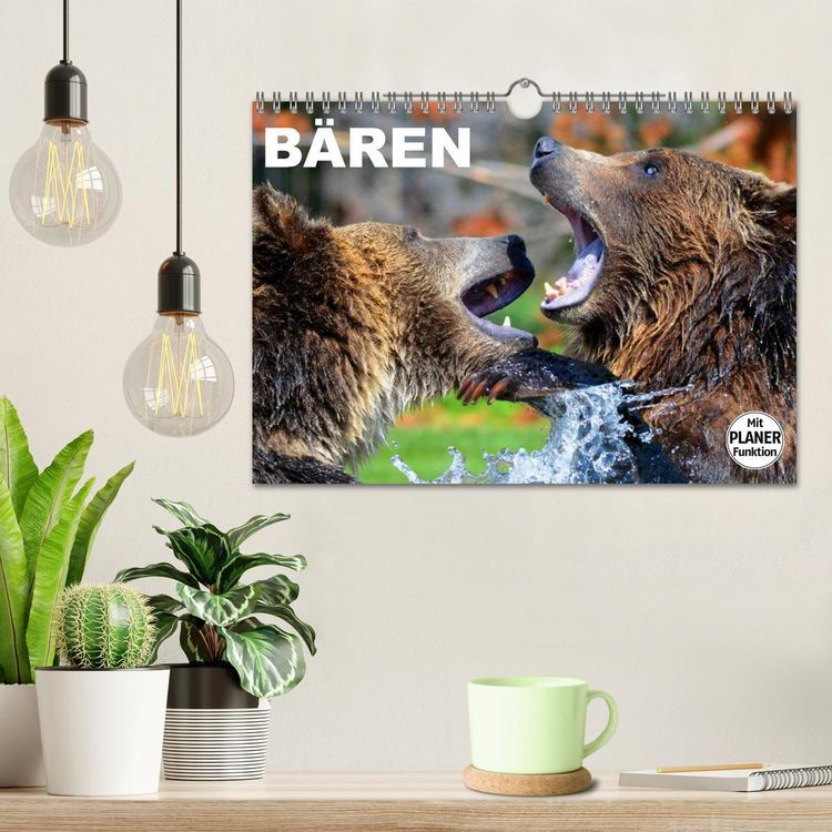 Produktbild: B&auml;ren (Wandkalender 2026 DIN A4 quer), CALVENDO Monatskalender