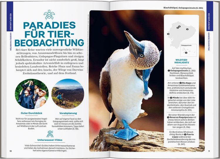 Produktbild: LONELY PLANET Reiseführer Ecuador & Galápagosinseln
