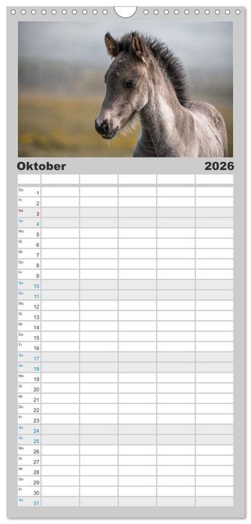 Produktbild: Familienplaner 2026 - Islandpferde Kalender - Pferde von der Insel aus Feuer und Eis mit 5 Spalten (Wandkalender, 21 x 45 cm) CALVENDO