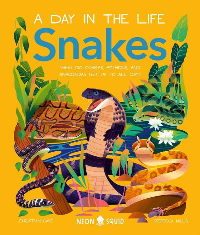 Produktbild: Snakes (A Day in the Life)