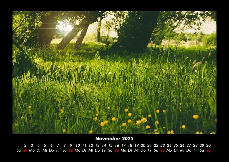 Produktbild: Pflanzen und Bl&uuml;ten 2025 Fotokalender DIN A3
