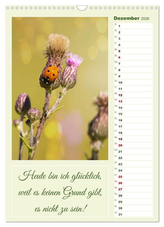 Produktbild: Marienk&auml;fer, Gl&uuml;cksbringer mit sieben Punkten (Wandkalender 2026 DIN A3 hoch), CALVENDO Monatskalender