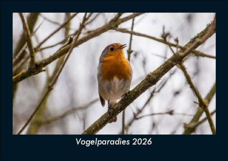 Produktbild: Vogelparadies 2026 Fotokalender DIN A5