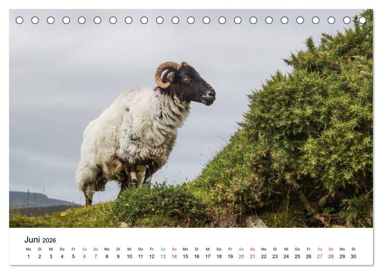 Produktbild: Irland wie gemalt (Tischkalender 2026 DIN A5 quer), CALVENDO Monatskalender