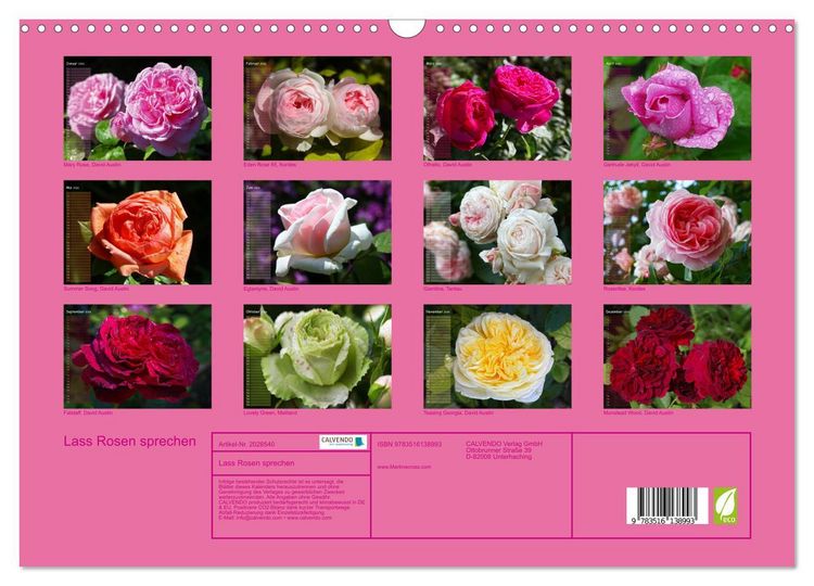 Produktbild: Lass Rosen sprechen (Wandkalender 2026 DIN A3 quer), CALVENDO Monatskalender