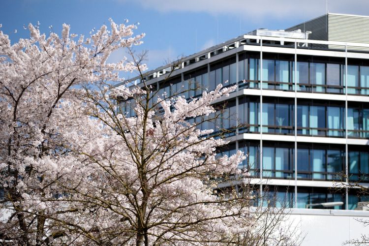 Produktbild: Sep Ruf - Architekt der Moderne