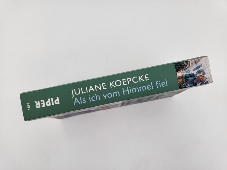 Produktbild: Als ich vom Himmel fiel