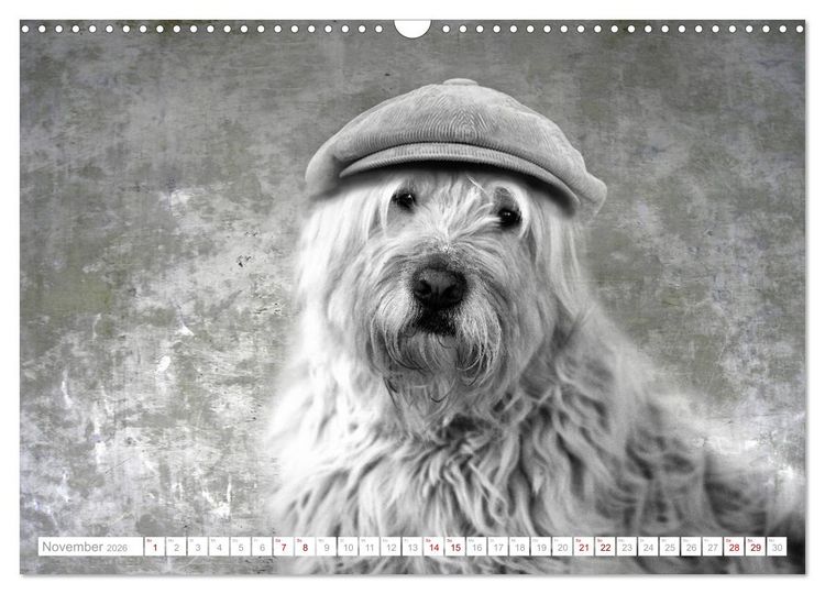 Produktbild: Hund tr&auml;gt Hut (Wandkalender 2026 DIN A3 quer), CALVENDO Monatskalender