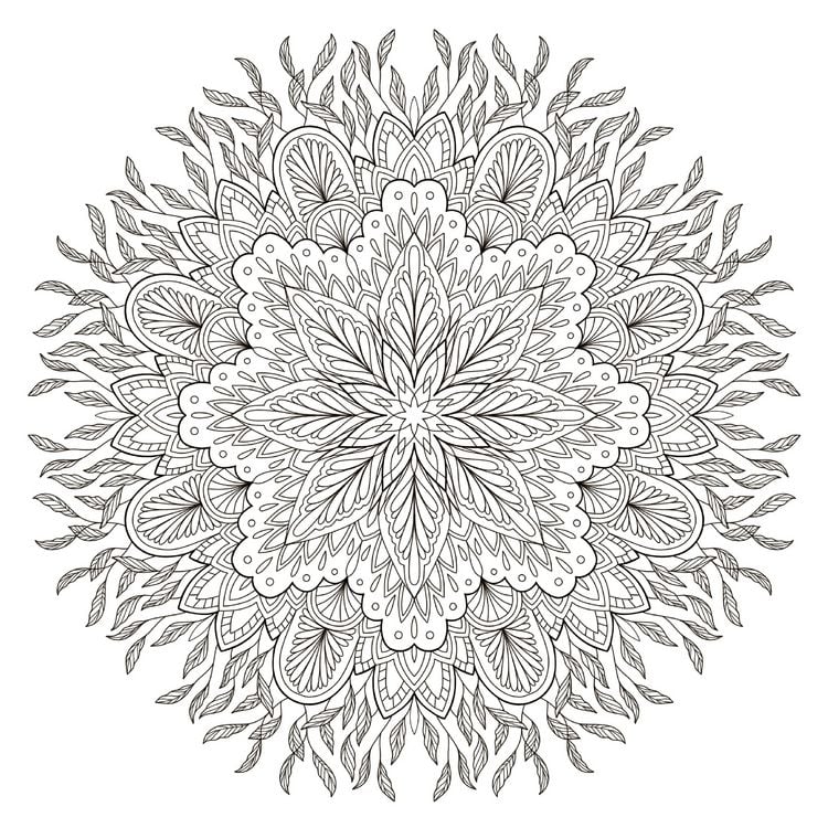Produktbild: Colorful World - Kraftvolle Mandalas