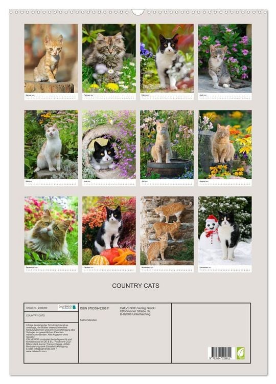Produktbild: COUNTRY CATS (Wandkalender 2027 DIN A2 hoch), CALVENDO Monatskalender