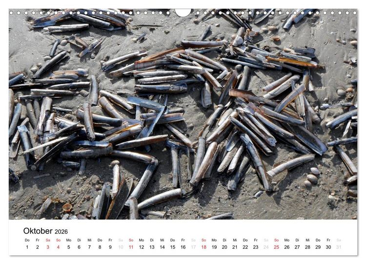Produktbild: D&auml;nemark - Unterwegs in J&uuml;tland (Wandkalender 2026 DIN A3 quer), CALVENDO Monatskalender