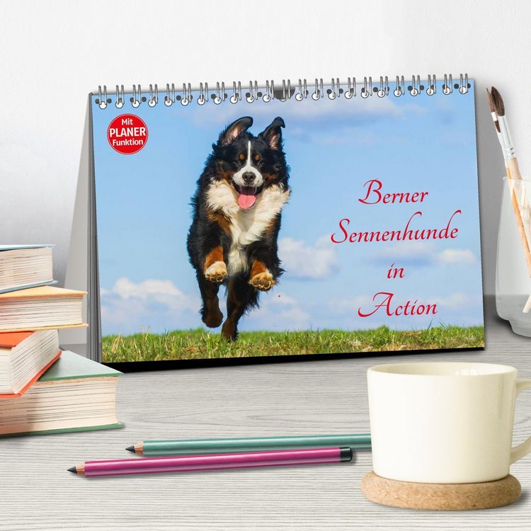 Produktbild: Berner Sennenhunde in Action (Tischkalender 2026 DIN A5 quer), CALVENDO Monatskalender