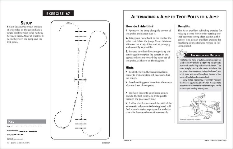 Produktbild: 101 Jumping Exercises for Horse & Rider