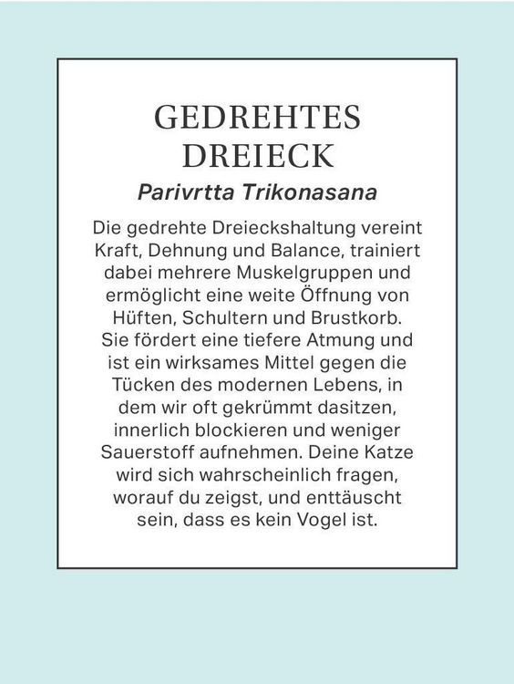Produktbild: Yoga mit Katze