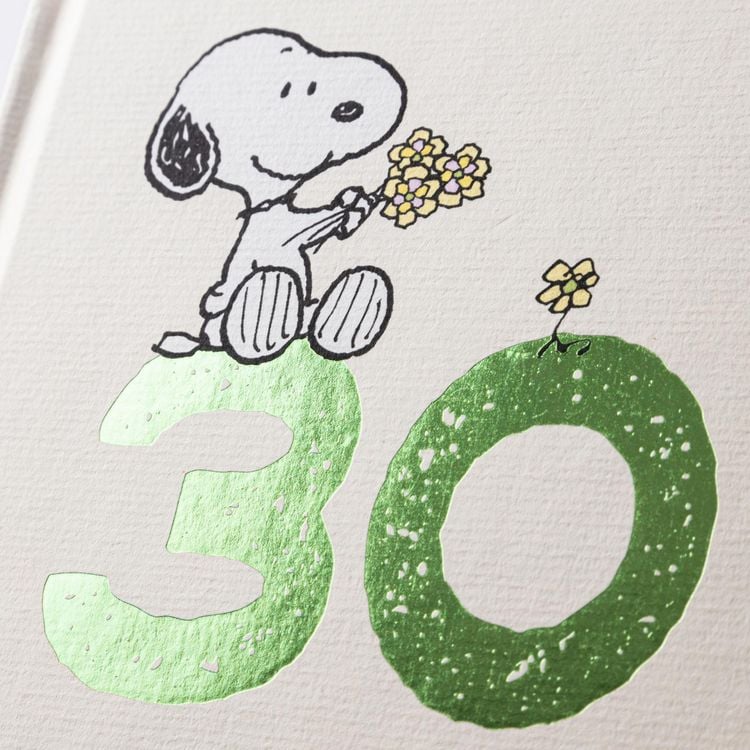 Produktbild: Peanuts Geschenkbuch: Happy Birthday zum 30. Geburtstag