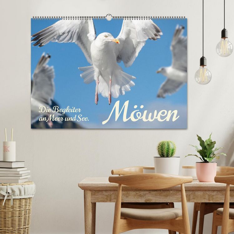 Produktbild: M&ouml;wen die Begleiter an Meer und See (Wandkalender 2026 DIN A2 quer), CALVENDO Monatskalender