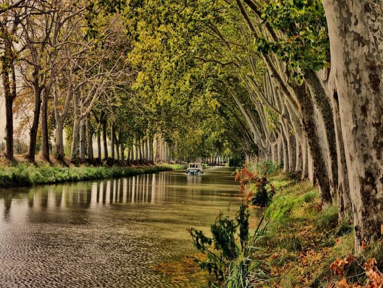 Produktbild: CALVENDO Puzzle Kanal du Midi bei B&eacute;ziers | 1000 Teile Lege-Gr&ouml;&szlig;e 64x48cm Foto-Puzzle f&uuml;r gl&uuml;ckliche Stunden
