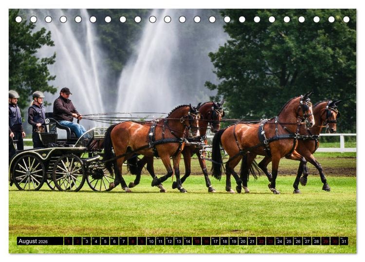 Produktbild: Fahrpferde in Aktion (Tischkalender 2026 DIN A5 quer), CALVENDO Monatskalender