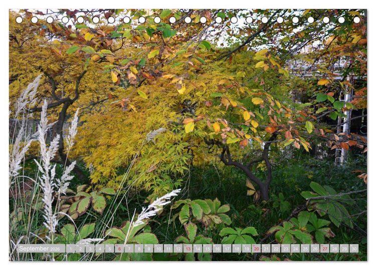 Produktbild: Fern&ouml;stlicher Zauber Japanischer Garten Leverkusen (Tischkalender 2026 DIN A5 quer), CALVENDO Monatskalender