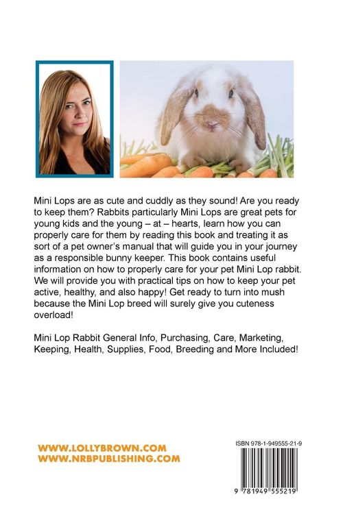 Produktbild: Mini Lop Rabbits as Pets
