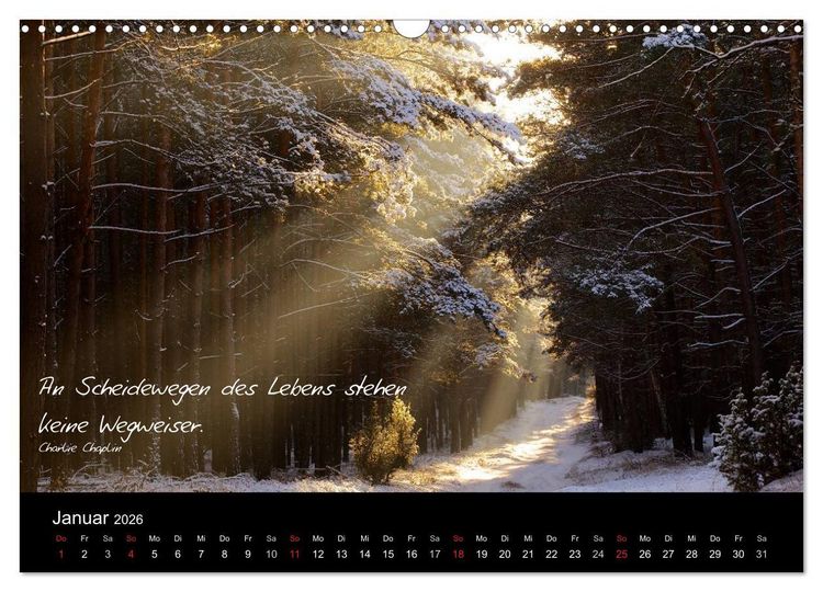 Produktbild: Poetische Wege (Wandkalender 2026 DIN A3 quer), CALVENDO Monatskalender