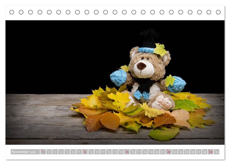 Produktbild: Eddy, der Teddy - 12 Bilder zum Schmunzeln (Tischkalender 2026 DIN A5 quer), CALVENDO Monatskalender