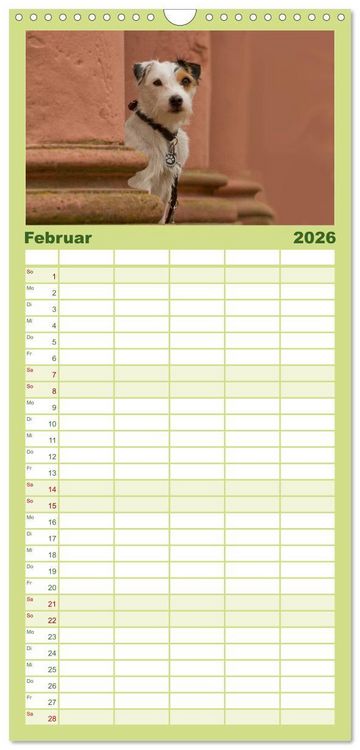 Produktbild: Familienplaner 2026 - Faszination Hund mit 5 Spalten (Wandkalender, 21 x 45 cm) CALVENDO