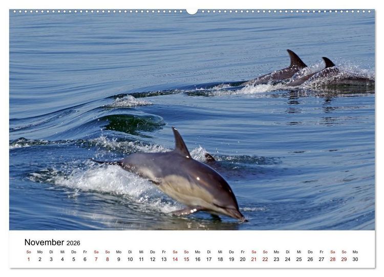 Produktbild: Von Cornwall nach Schottland (hochwertiger Premium Wandkalender 2026 DIN A2 quer), Kunstdruck in Hochglanz