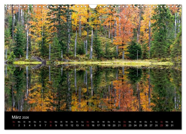Produktbild: Herbst im Nationalpark Bayerischer Wald (Wandkalender 2026 DIN A3 quer), CALVENDO Monatskalender