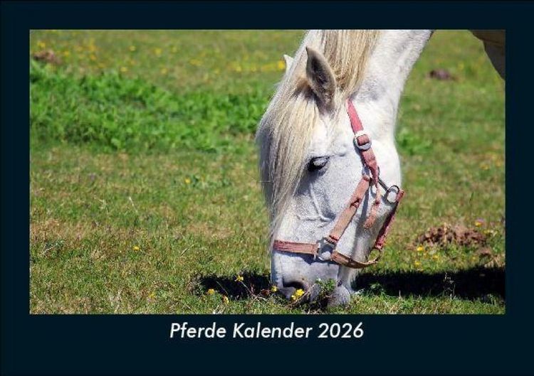 Produktbild: Pferde Kalender 2026 Fotokalender DIN A5