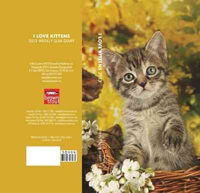 Produktbild: Kittens Slim Diary 2013 Calendar