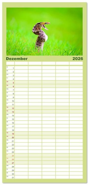 Produktbild: Familienplaner 2026 - Faszination Schlangen mit 5 Spalten (Wandkalender, 21 x 45 cm) CALVENDO
