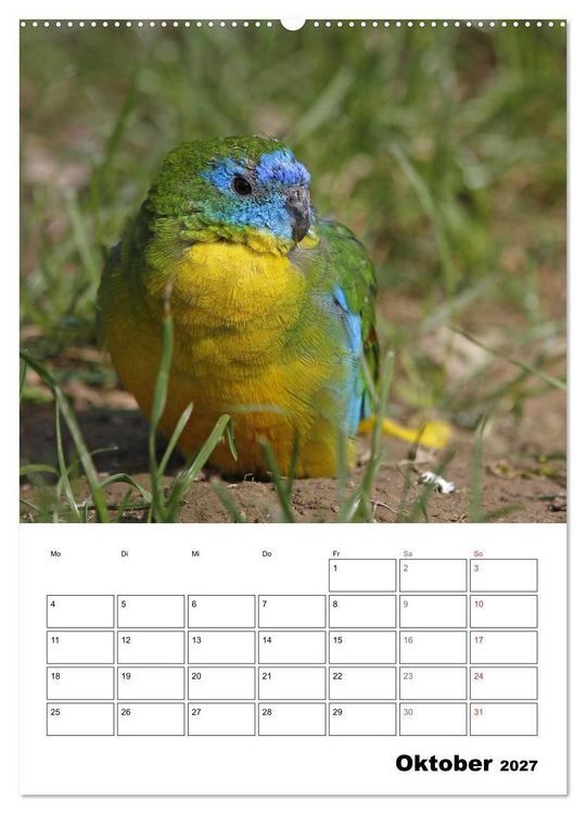 Produktbild: Papageien - Graupapagei, Rosella und Co. (hochwertiger Premium Wandkalender 2027 DIN A2 hoch), Kunstdruck in Hochglanz