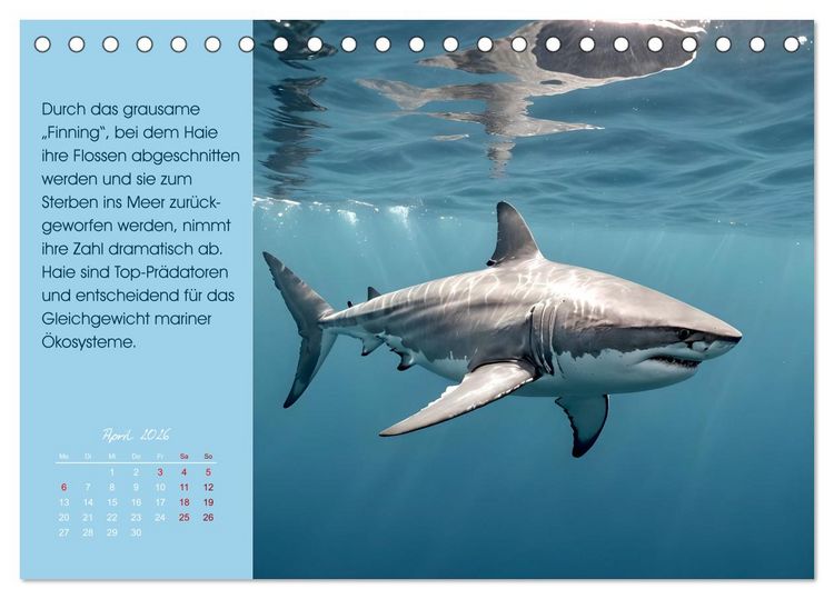 Produktbild: Meerestiere in Gefahr - Unsere Ozeane, unsere Verantwortung (Tischkalender 2026 DIN A5 quer), CALVENDO Monatskalender