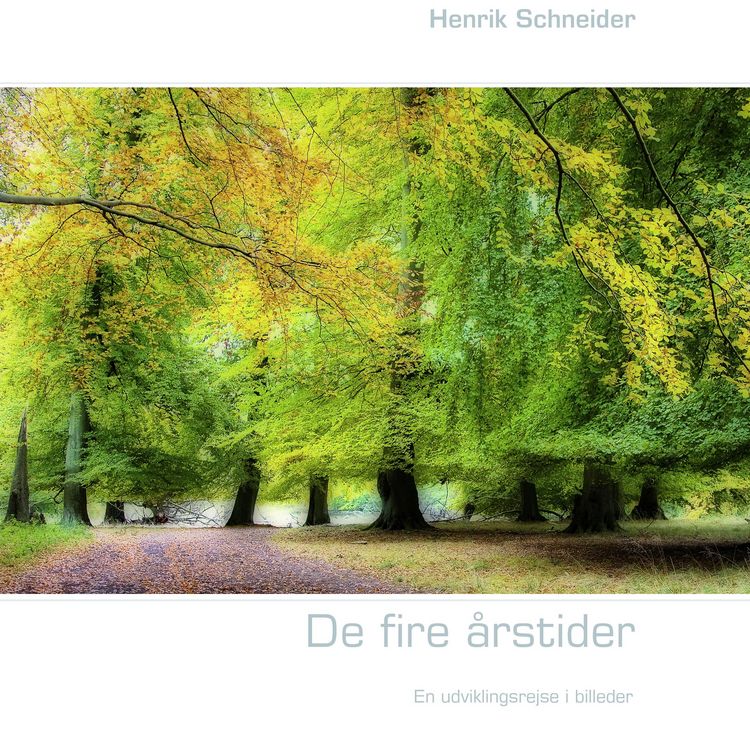 Produktbild: De fire &aring;rstider
